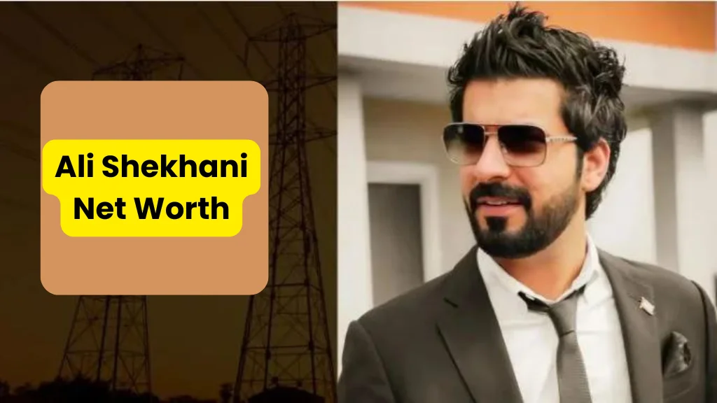 Ali Shekhani Net Worth